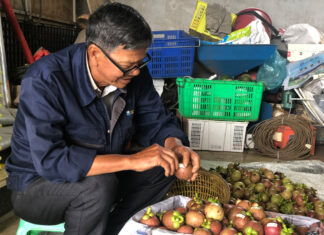 Truy xuất nguồn gốc măng cụt B’Lao