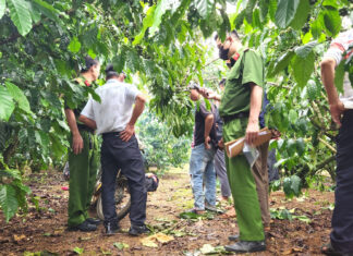 Bảo Lộc: Phát hiện thi thể người đàn ông tử vong trong vườn cà phê