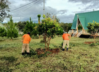 Lâm Đồng: Tạm dừng tiếp nhận học viên cai nghiện vì quá tải