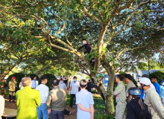 Bảo Lộc: Phát hiện tài xế xe taxi tử vong trong tư thế treo cổ