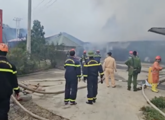 Lâm Đồng: Cháy lớn tại công ty sản xuất nấm