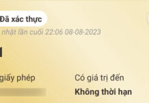 Trường hợp nào CSGT kiểm tra giấy tờ trên VNeID mà không cần bản gốc?
