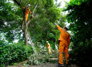 Lâm Đồng: Cảnh báo tình trạng đấu nối, trộm cắp điện