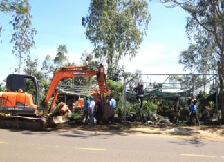 Bảo Lộc: Tháo dỡ, giải tỏa 7 vườn ươm xây dựng trái phép trên đất công