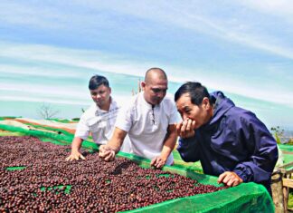 Giá cà phê tăng 4 ngày liên tiếp, đạt mốc gần 66.000 đồng/kg