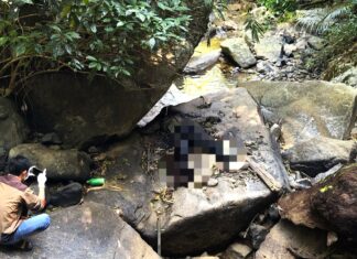 Bảo Lộc: Phát hiện thi thể nam giới giữa rừng