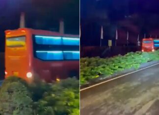 Lâm Đồng: Xác minh thông tin một xe khách đi lùi trên cao tốc Liên Khương – Prenn