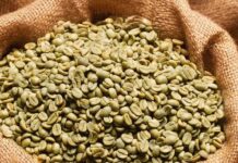 Giá cà phê Lâm Đồng ngày 02/12/2023