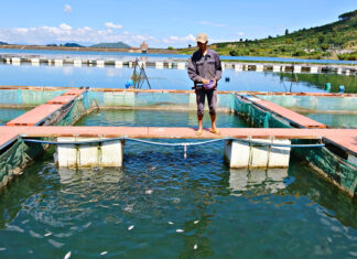 Lâm Đồng: Nhiều công trình thủy lợi xuống cấp sau mùa mưa lũ