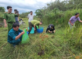 Lâm Đồng: Thả 18 cá thể cheo cheo về môi trường sống tự nhiên