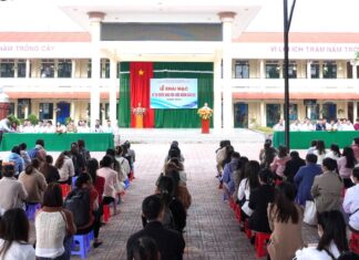 Bảo Lộc: Điều tra 13 trường hợp nghi dùng chứng chỉ giả thi viên chức