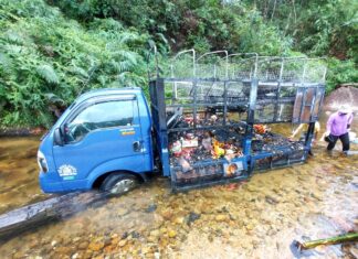 Bảo Lâm: Xe tải bốc cháy trên đèo, tài xế liều mình điều khiển xe lao xuống suối để dập lửa