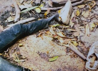 Bảo Lộc: Thông báo truy tìm tung tích nạn nhân