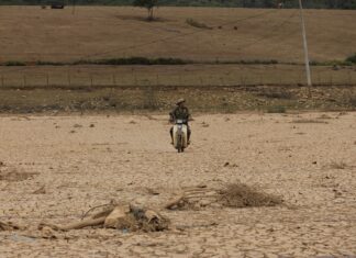 Lâm Đồng: Hồ Đan Kia – Suối Vàng đang ở gần mực nước chết