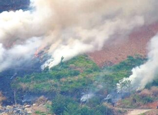 Bảo Lộc: Kịp thời dập tắt đám cháy trong vườn cà phê của người dân