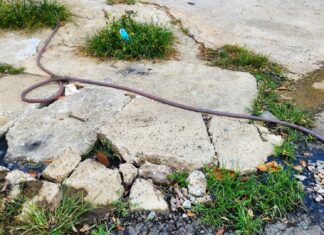 Bảo Lộc: Cống dẫn nước thải bị tắc bốc mùi hôi thối, hàng chục hộ dân chịu trận