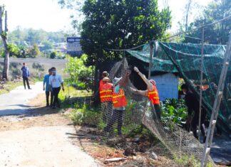 Bảo Lộc: Kiểm tra, rà soát công tác quản lý, sử dụng đất công