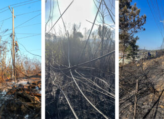 Lâm Đồng: Đốt cỏ gây cháy dây cáp viễn thông