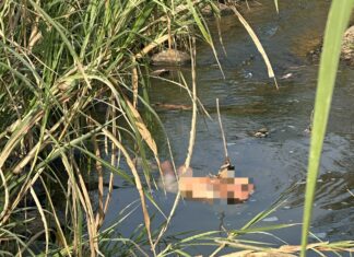 Bảo Lộc: Cứu sống người đàn ông sau nhiều ngày rơi xuống suối