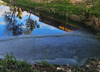 Đà Lạt: Ô nhiễm môi trường nghiêm trọng do các hồ lắng quanh Hồ Xuân Hương