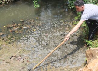 Bảo Lộc: Người dân lo lắng vì nước suối đen sì, bốc mùi hôi thối