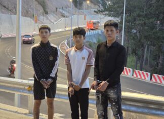 Đà Lạt: Bắt nhóm đối tượng dùng hung khí cướp tài sản trên đèo Prenn