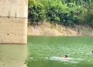 Lâm Đồng: Tìm thấy thi thể tài xế xe tải dưới hồ sau nhiều ngày mất tích