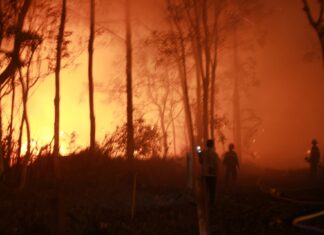 Bảo Lộc: Kịp thời khống chế đám cháy phía sau 2 công ty