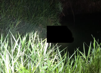 Cần cẩn trọng khi dùng máy bơm điện tưới vườn vào mùa khô hạn