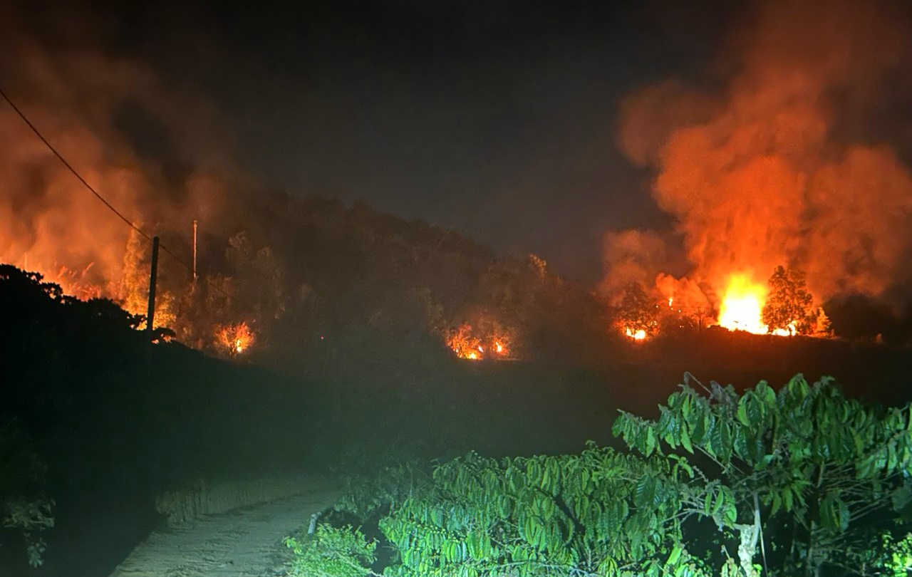 Bảo Lộc: Kịp thời khống chế dập tắt vụ cháy rừng trồng