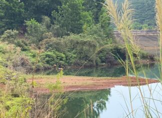 Bảo Lâm: Phát hiện thi thể nữ giới nổi trên hồ Cai Bảng