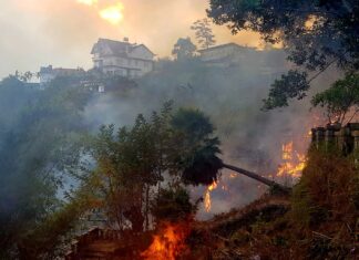 Đà Lạt: Dập tắt kịp thời đám cháy trên đường Hoàng Hoa Thám