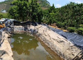 Bảo Lộc: Hai mợ cháu đuối nước thương tâm dưới hồ tưới cà phê