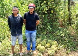 Đạ Huoai: Bắt quả tang 2 đối tượng trộm sầu riêng