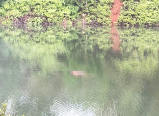 Bảo Lâm: Phát hiện thi thể nữ sinh nổi trên hồ sau 4 ngày đi khỏi nhà