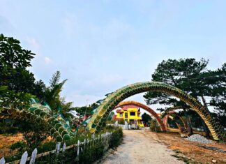 Đà Lạt: Bị phạt 90 triệu đồng vì lắp đặt linh vật rồng không phép