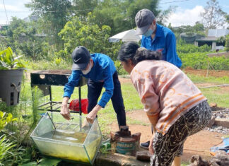 Số ca mắc sốt xuất huyết cao nhất tỉnh, Bảo Lộc đồng loạt ra quân diệt lăng quăng