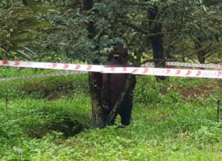 Lâm Đồng: Phát hiện người đàn ông tử vong ở tư thế treo cổ trong vườn sầu riêng