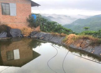 Bảo Lâm: Tang thương 2 chị em đuối nước dưới ao tưới cà phê ở Hàng Lang cần giúp đỡ