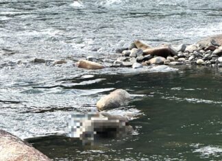 Phát hiện thi thể nam giới trôi trên sông Đạ Huoai