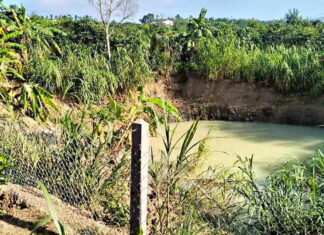 Lâm Đồng: Hai chị em đuối nước thương tâm trong ao tưới của gia đình