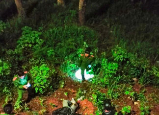 Đà Lạt: Cứu hộ nam thanh niên rơi xuống vực sâu trên đèo Prenn trong đêm