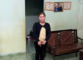 Bảo Lâm: Liên tục triệt phá nhanh các vụ trộm cắp, cướp giật tài sản