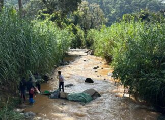 Đà Lạt: Tìm thấy thi thể tài xế bị lũ cuốn khi qua tràn ngầm tại xã Xuân Thọ