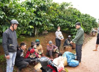 Lâm Đồng: Mật phục, bắt nhóm đối tượng trộm cắp sầu riêng