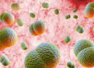 Cát Tiên: Ghi nhận 3 trường hợp dương tính với Viêm màng não do não mô cầu