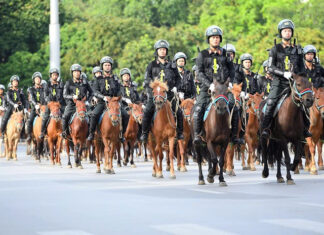 Đà Lạt: Quân nhạc và kỵ binh Công an Nhân dân sắp biểu diễn ở phố đi bộ