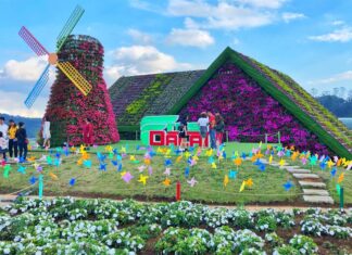 Đà Lạt: Nhiều điểm tham quan miễn phí ngày khai mạc Festival hoa