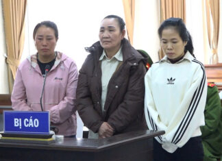 Lâm Đồng: Dùng giấy chứng nhận quyền sử dụng đất giả lừa vay vốn ngân hàng, 2 chị em lãnh án