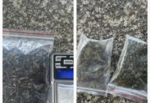 Bảo Lộc: Bắt quả tang 2 đối tượng tàng trữ chất ma túy